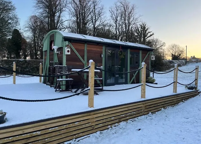 Ted\'S Shed