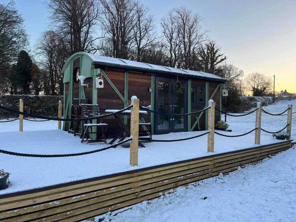 Ted's Shed *
